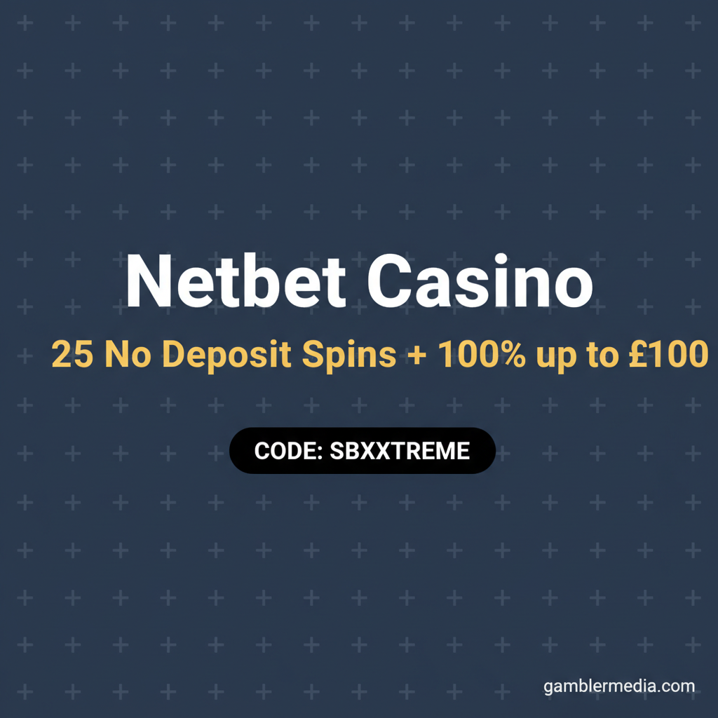 Netbet Casino Interface